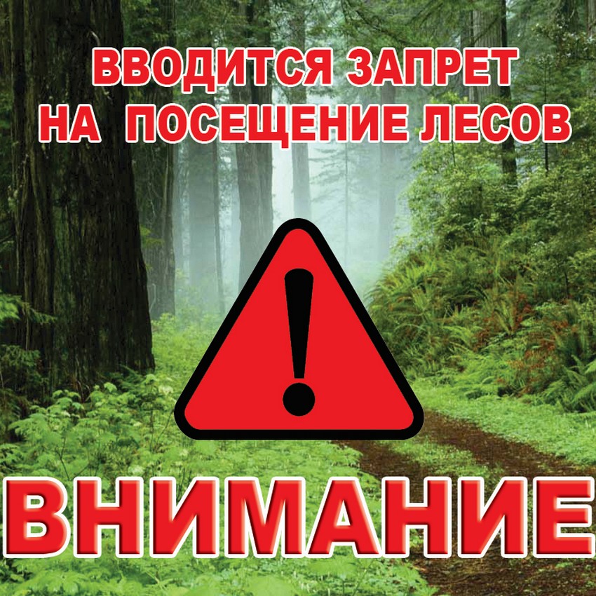 Запрет на посещение лесов 2023