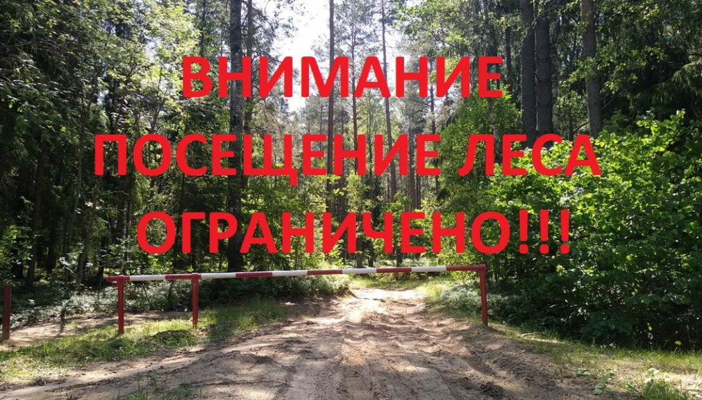You are currently viewing Внимание гражданам
