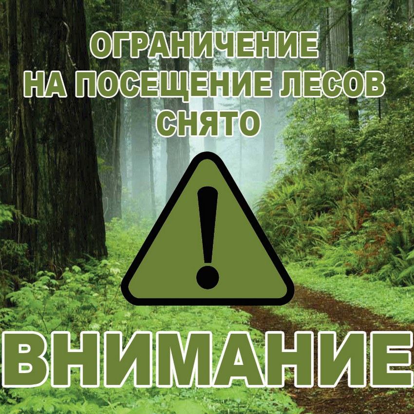 Вы сейчас просматриваете Снято ограничение на посещение лесов