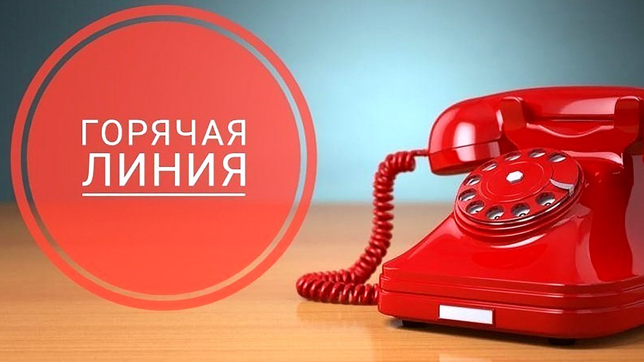 Вы сейчас просматриваете Минлесхоз запустит горячую телефонную линию по вопросам наведения порядка в лесу