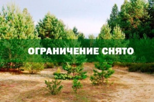 Подробнее о статье ОГРАНИЧЕНИЕ СНЯТО