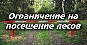 Вы сейчас просматриваете Ограничение на посещение лесов
