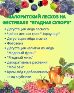 Подробнее о статье Малоритский лесхоз на фестивале «Ягаднае сузор’е»