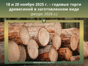 Подробнее о статье 18 и 20 ноября 2025 г. пройдут ГОДОВЫЕ БИРЖЕВЫЕ ТОРГИ древесиной в заготовленном виде ресурса 2026 г.