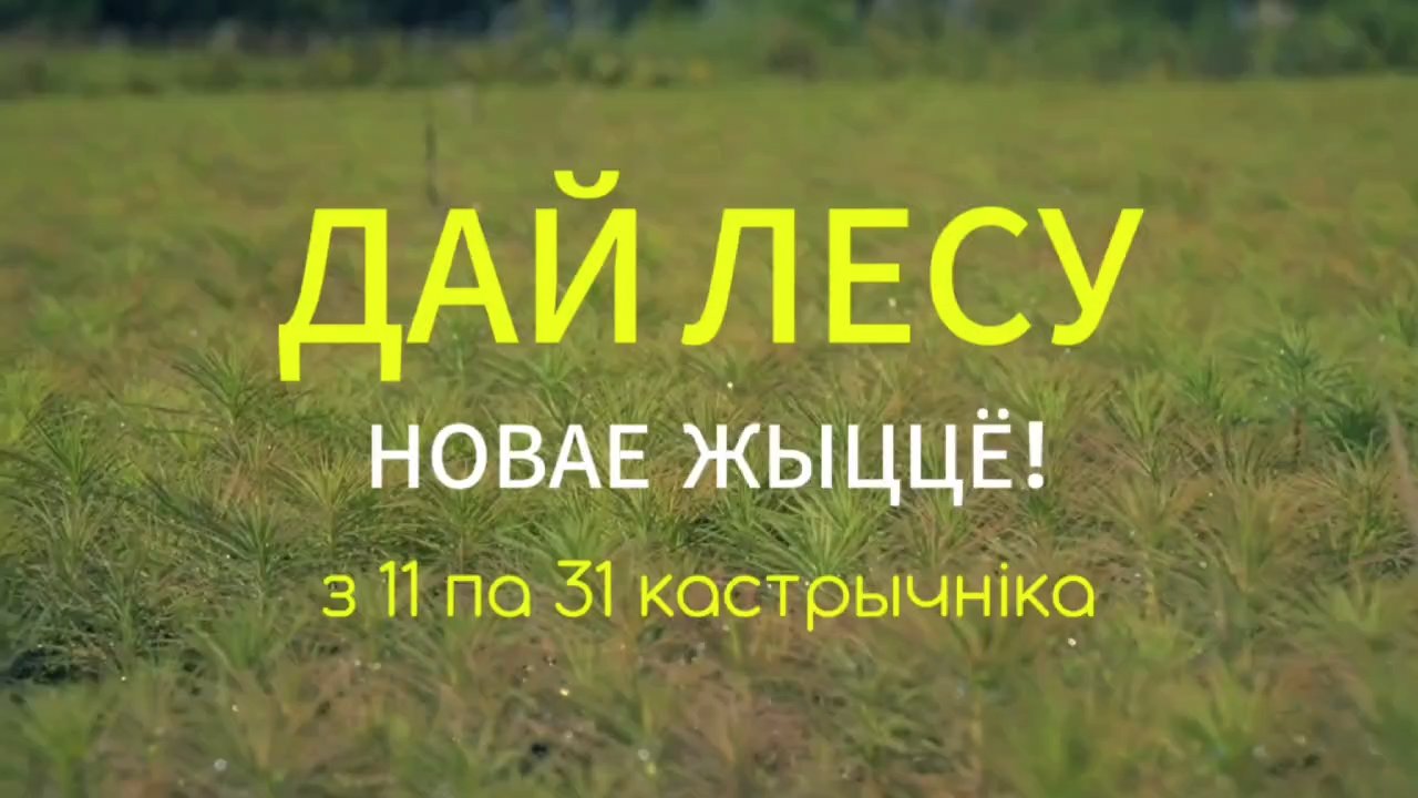 Вы сейчас просматриваете Акция «Дай лесу новае жыццё!» пройдет в Беларуси с 11 по 31 октября