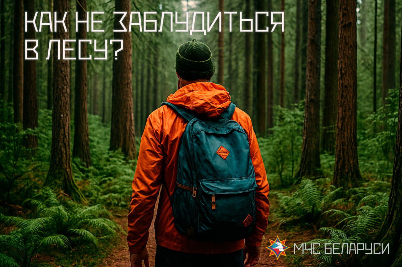 Вы сейчас просматриваете КАК НЕ ЗАБЛУДИТЬСЯ В ЛЕСУ?