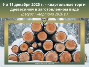 Подробнее о статье 9 и 11 декабря 2025 г. пройдут КВАРТАЛЬНЫЕ БИРЖЕВЫЕ ТОРГИ древесиной в заготовленном виде ресурса I квартала 2026 г.