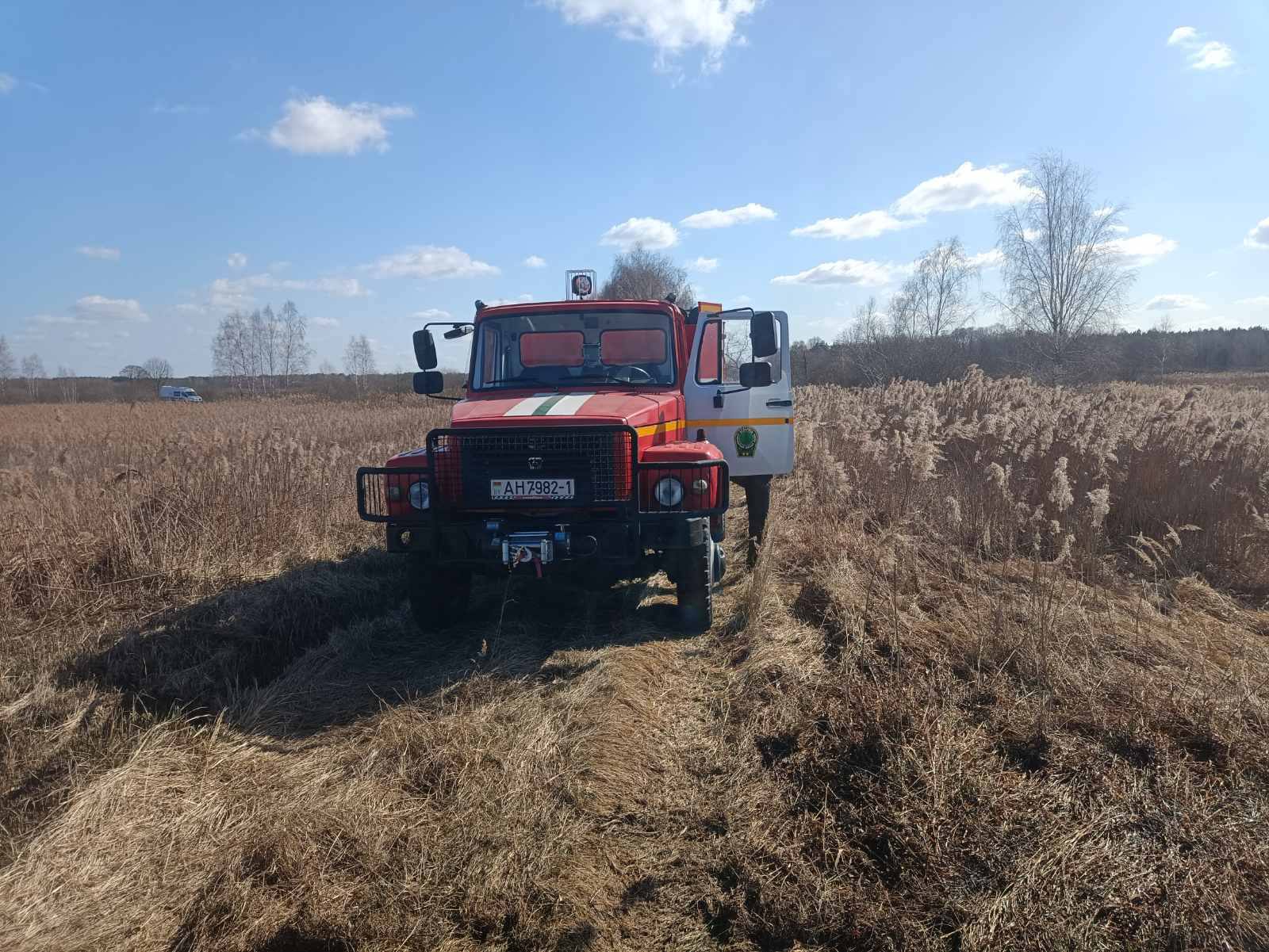 Вы сейчас просматриваете СУХАЯ ТРАВА — УГРОЗА ЛЕСАМ