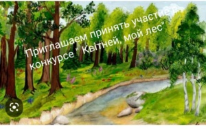 Подробнее о статье ЛЕСНОЙ КОНКУРС