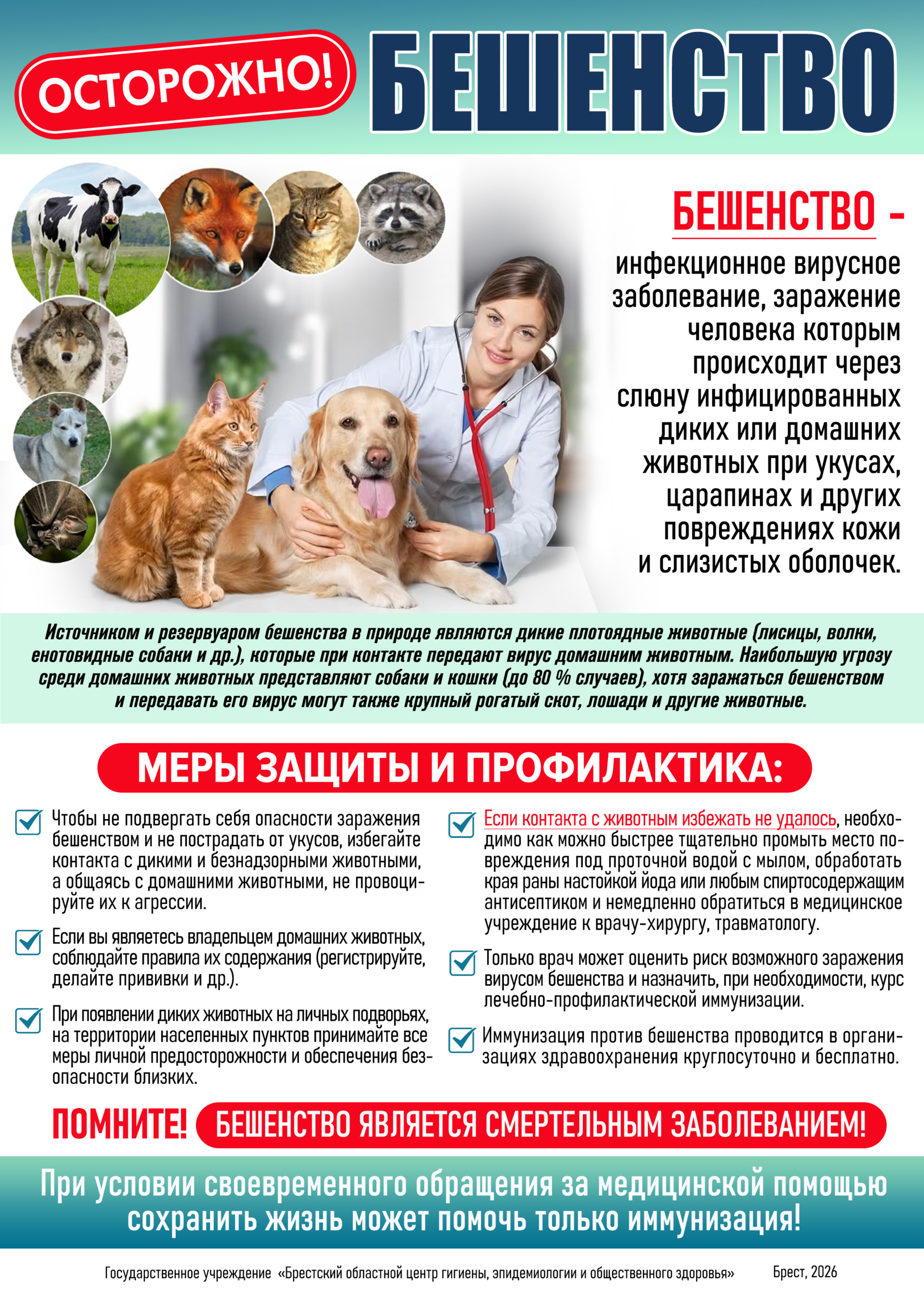 Вы сейчас просматриваете ОСТОРОЖНО: БЕШЕНСТВО!