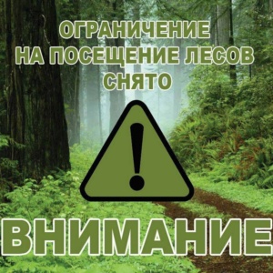 Подробнее о статье ОГРАНИЧЕНИЕ НА ПОСЕЩЕНИЕ ЛЕСОВ СНЯТО