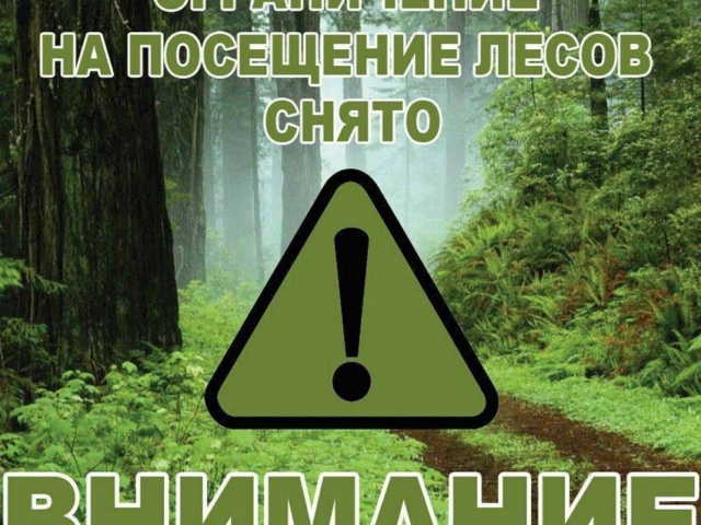 ОГРАНИЧЕНИЕ НА ПОСЕЩЕНИЕ ЛЕСОВ СНЯТО