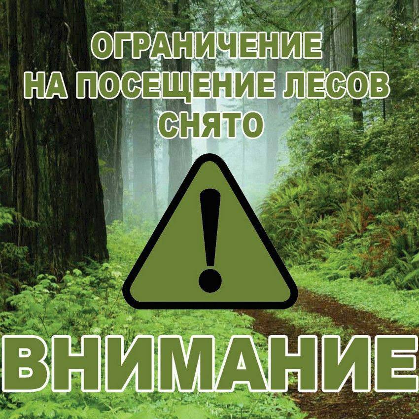 Вы сейчас просматриваете ОГРАНИЧЕНИЕ НА ПОСЕЩЕНИЕ ЛЕСОВ СНЯТО