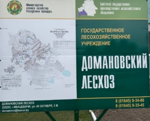 Подробнее о статье Место работы: Домановский лесхоз