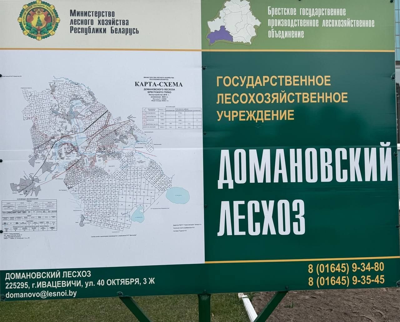 Вы сейчас просматриваете Место работы: Домановский лесхоз