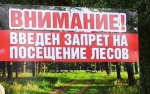 Подробнее о статье Внимание! Введен запрет на посещение лесов!