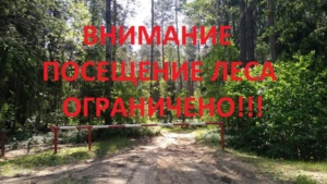 Подробнее о статье ВНИМАНИЕ! ПОСЕЩЕНИЕ ЛЕСА ОГРАНИЧЕНО!