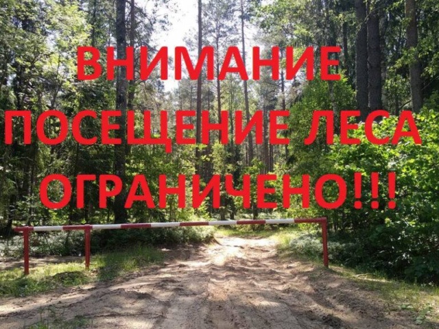 ВНИМАНИЕ! ПОСЕЩЕНИЕ ЛЕСА ОГРАНИЧЕНО!