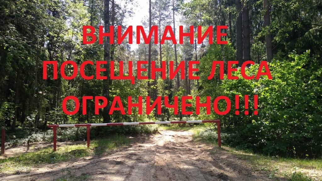 Вы сейчас просматриваете ВНИМАНИЕ! ПОСЕЩЕНИЕ ЛЕСА ОГРАНИЧЕНО!