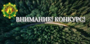 Подробнее о статье Республиканский творческий конкурс на лучшее освещение в СМИ и социальных сетях лесной тематики