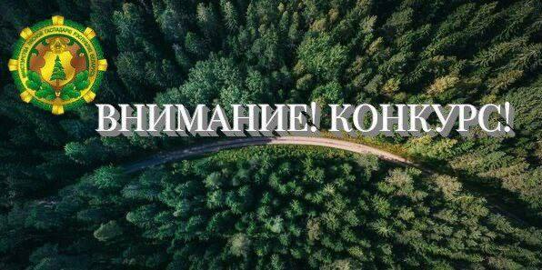 Вы сейчас просматриваете Республиканский творческий конкурс на лучшее освещение в СМИ и социальных сетях лесной тематики