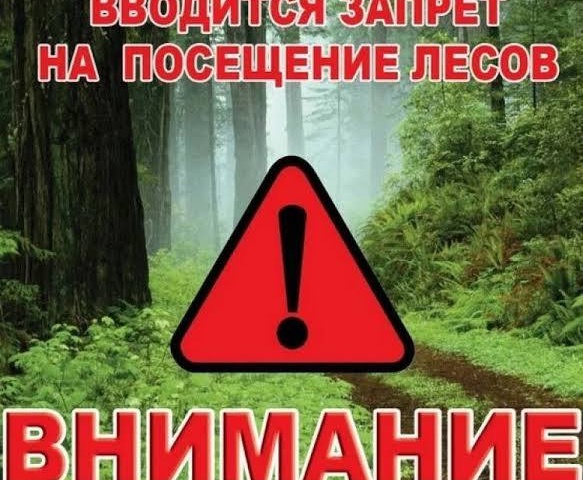 ВНИМАНИЕ! ВВОДИТСЯ ЗАПРЕТ НА ПОСЕЩЕНИЕ ЛЕСОВ
