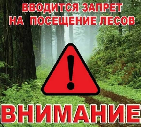 Вы сейчас просматриваете ВНИМАНИЕ! ВВОДИТСЯ ЗАПРЕТ НА ПОСЕЩЕНИЕ ЛЕСОВ