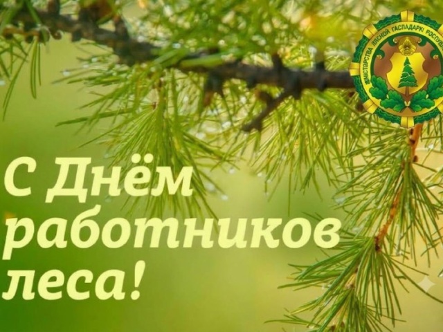 Уважаемые коллеги, дорогие труженики и ветераны лесной отрасли!