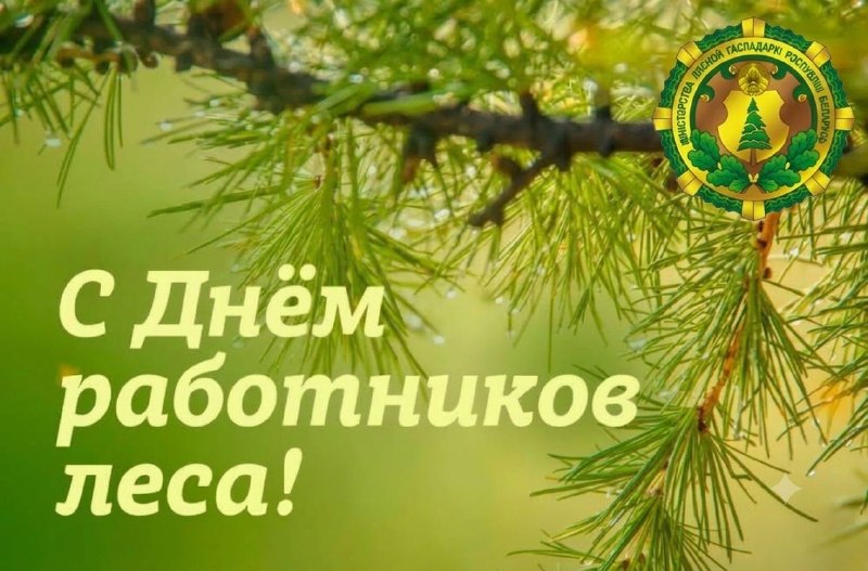 Вы сейчас просматриваете Уважаемые коллеги, дорогие труженики и ветераны лесной отрасли!