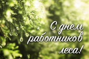 Подробнее о статье Уважаемые работники и ветераны лесного хозяйства! Поздравляю вас с профессиональным праздником — Днем работника леса!