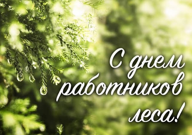 Уважаемые работники и ветераны лесного хозяйства! Поздравляю вас с профессиональным праздником — Днем работника леса!