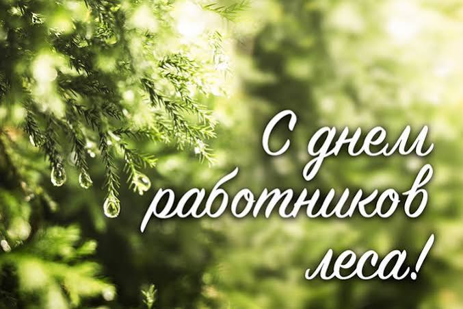 Вы сейчас просматриваете Уважаемые работники и ветераны лесного хозяйства! Поздравляю вас с профессиональным праздником — Днем работника леса!