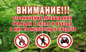 Подробнее о статье ВВЕДЕНО ОГРАНИЧЕНИЕ НА ПОСЕЩЕНИЕ ЛЕСОВ