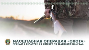 Читать далее о этой статье В Беларуси проходит масштабная операция «Охота»