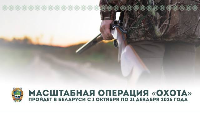 В Беларуси проходит масштабная операция «Охота»